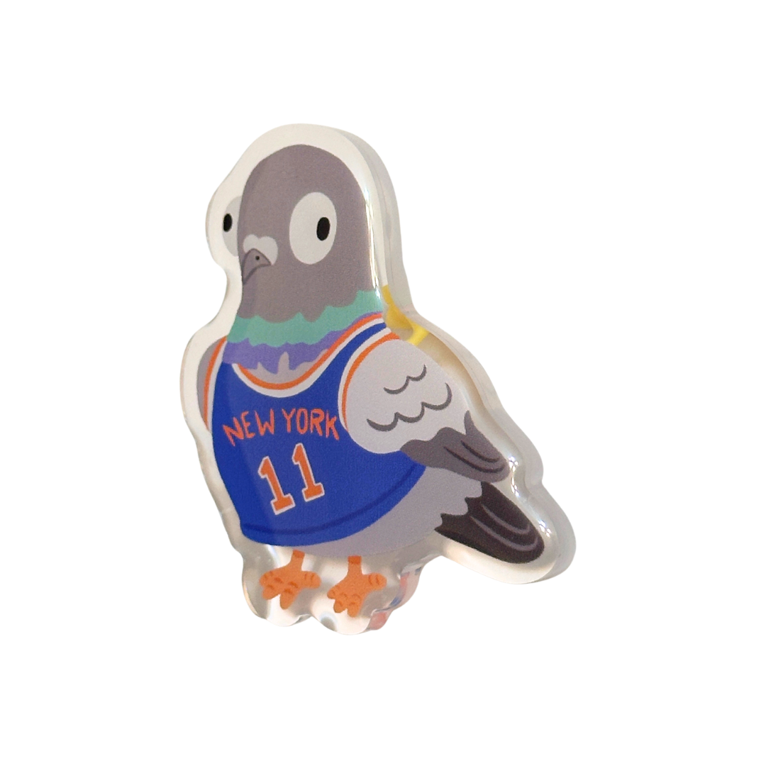 Pigeon NY Basketball Fan