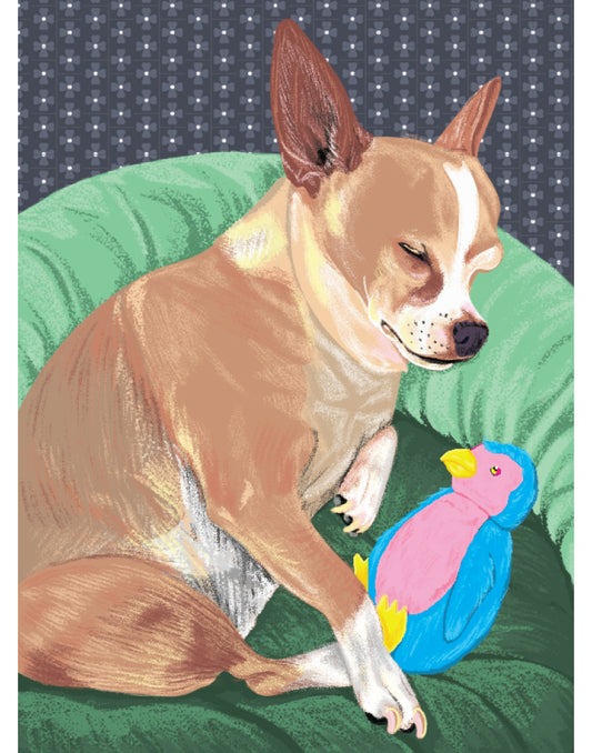 Sleepy Pancho